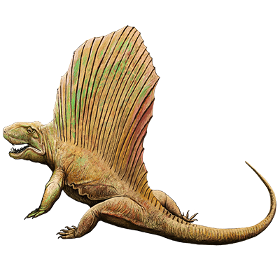 Dimetrodon