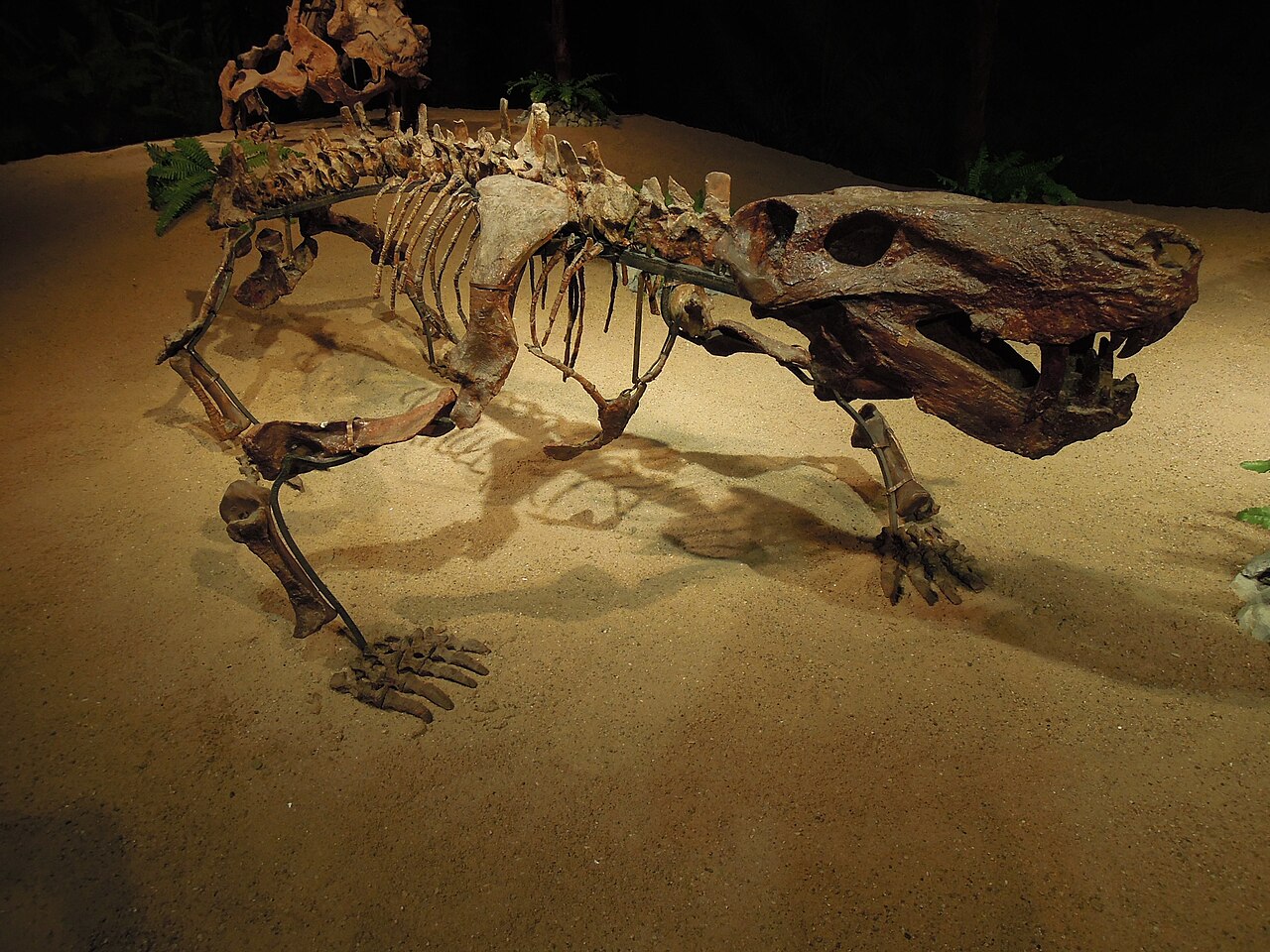 Inostrancevia