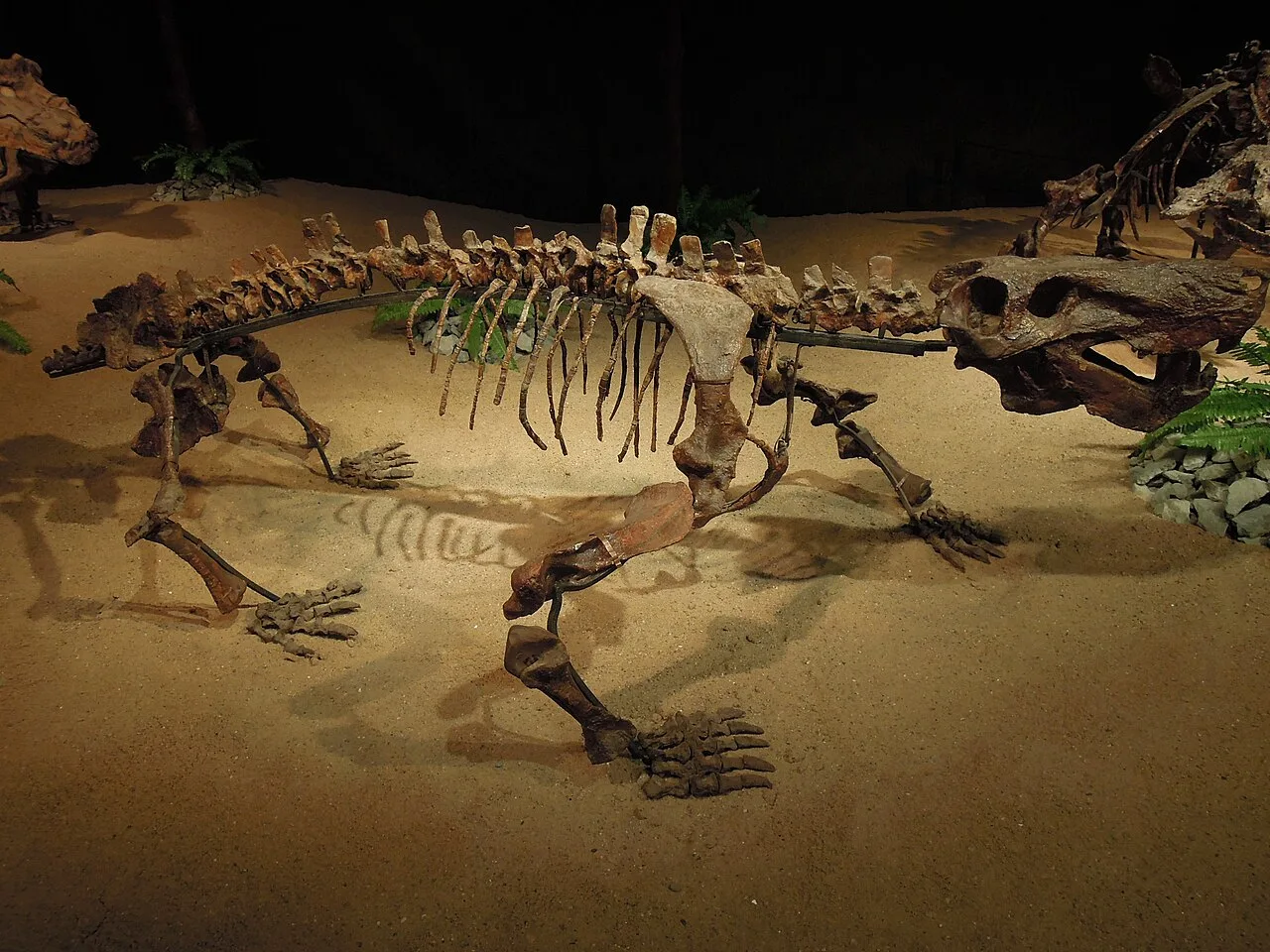 Inostrancevia