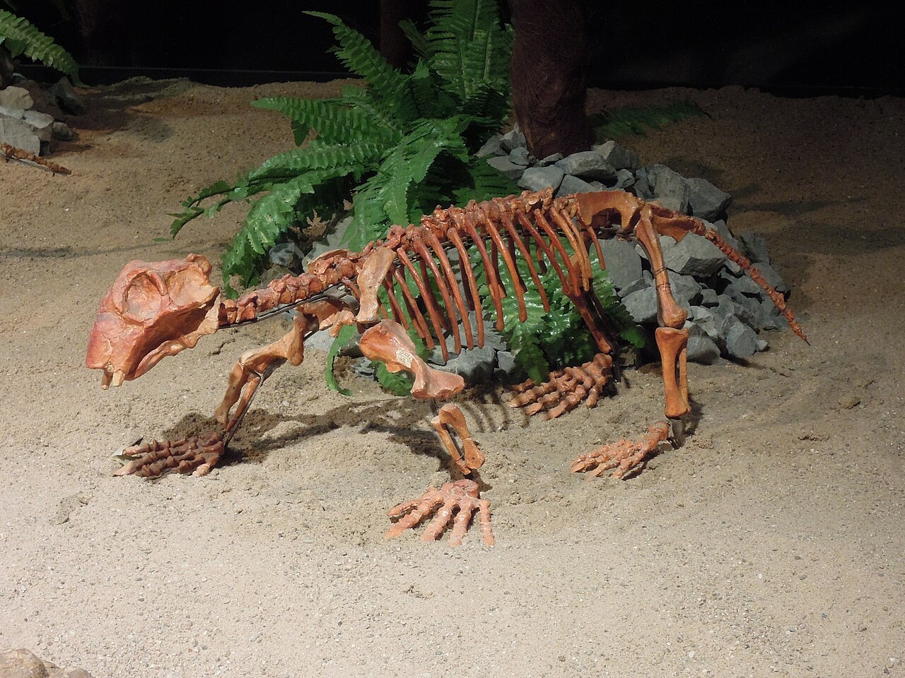 Lystrosaurus