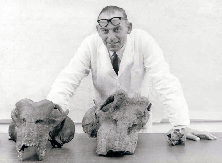Lystrosaurus