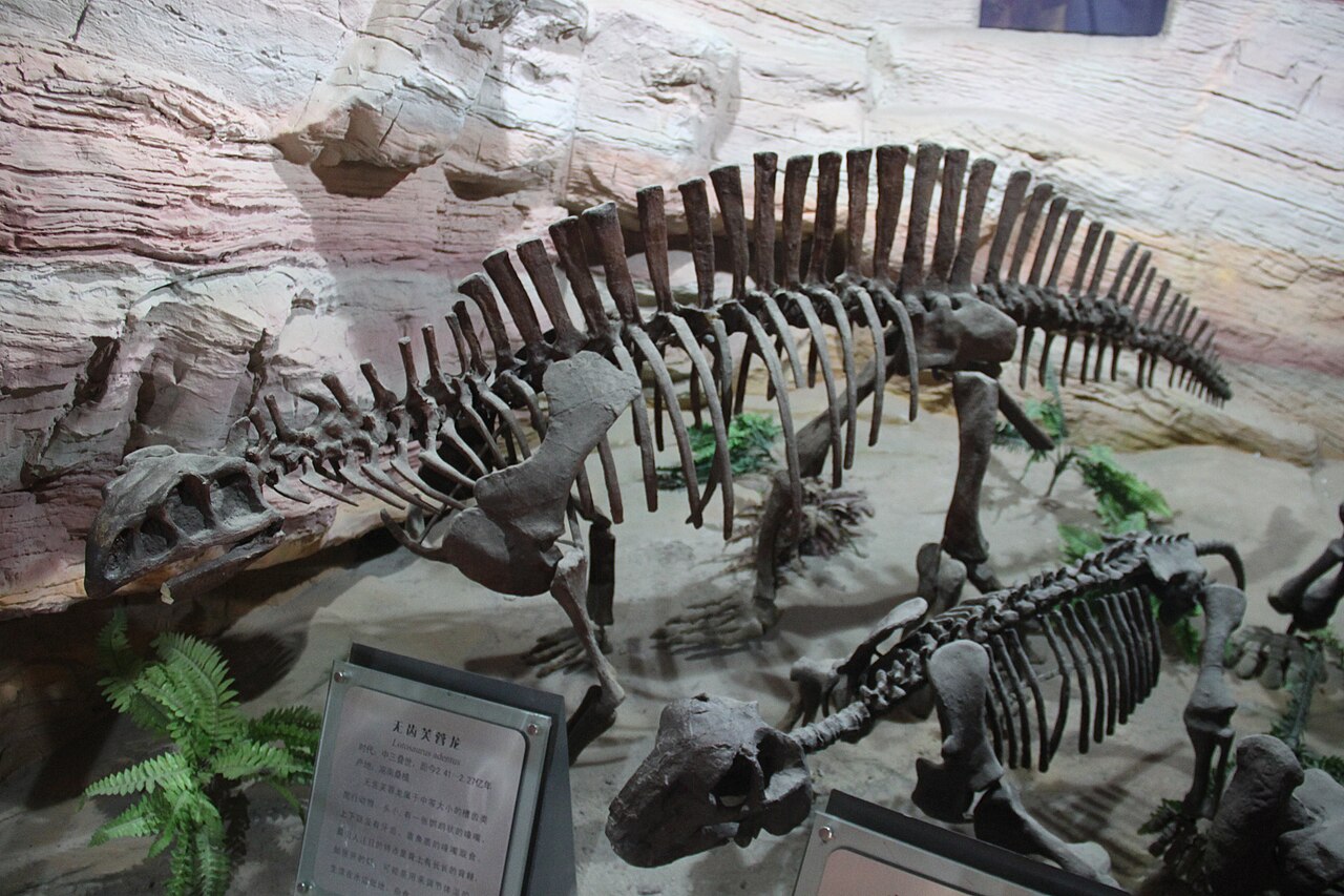 Lystrosaurus